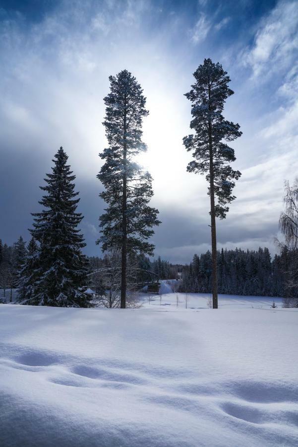 Skicenter *